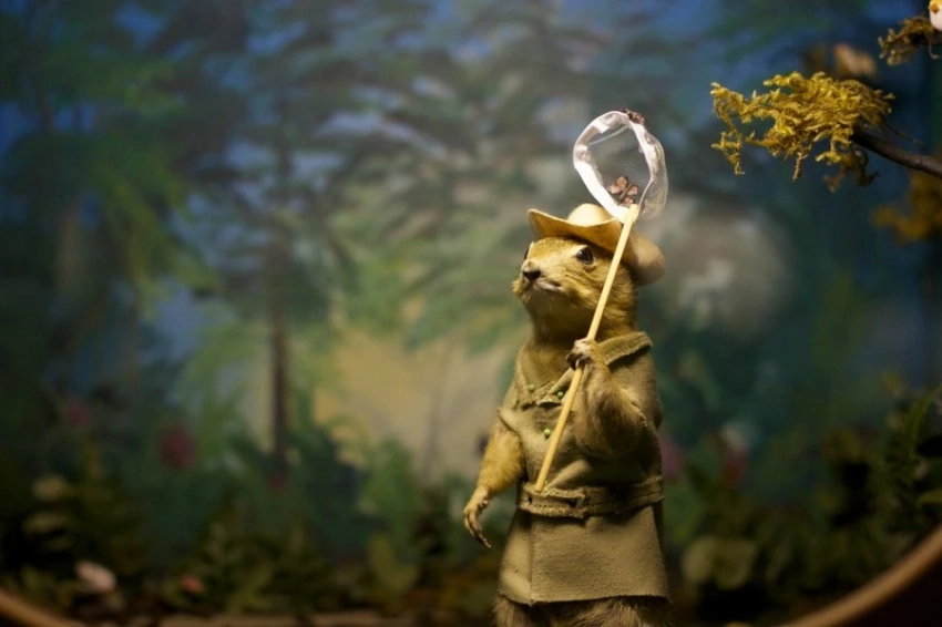 Гримасы эволюции: милые любители орешков стали хищниками