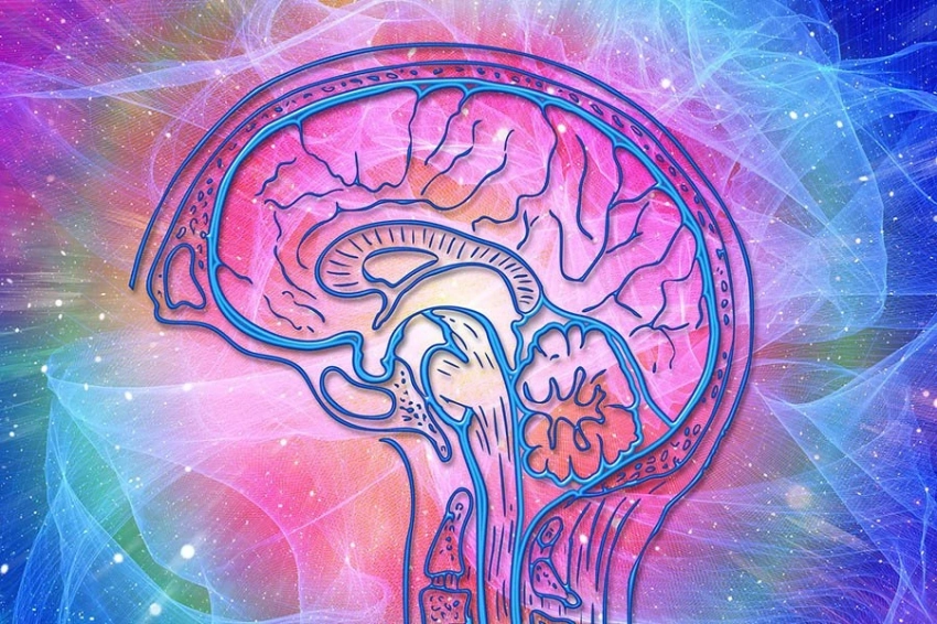 Cell: взаимодействие звука и вибрации в мозге усиливает сенсорные ощущения